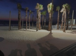 Nuotr. Alvydas Lukys