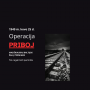 Plakato aut. Aida Vėželienė