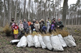 Klaipėdos žurnalistai Šernų miške pasodino apie 2000 maumedžių.Eugenijaus Maciaus nuotrauka